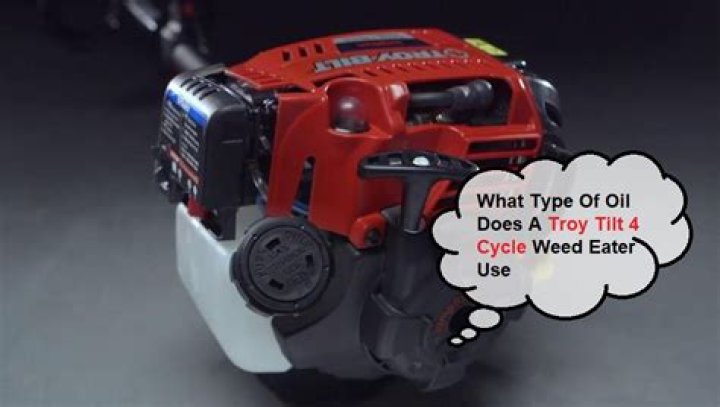 Quick Answer: What Type Of Oil For 4 Cycle Weed Eater