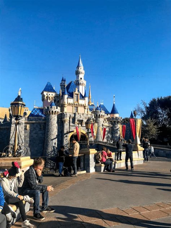 Quick Answer: Whose Castle Is At Disneyland