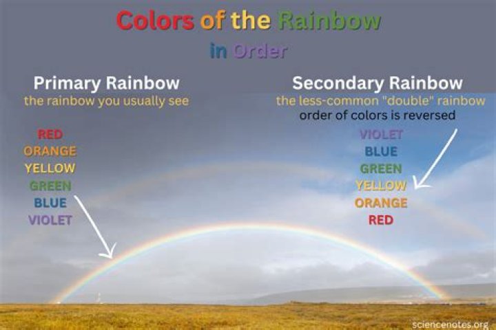 :rainbow: