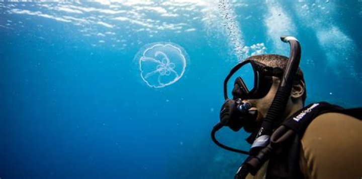 Scuba Diving