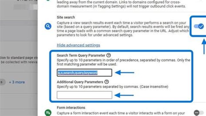 Search Query (query, Search Term)