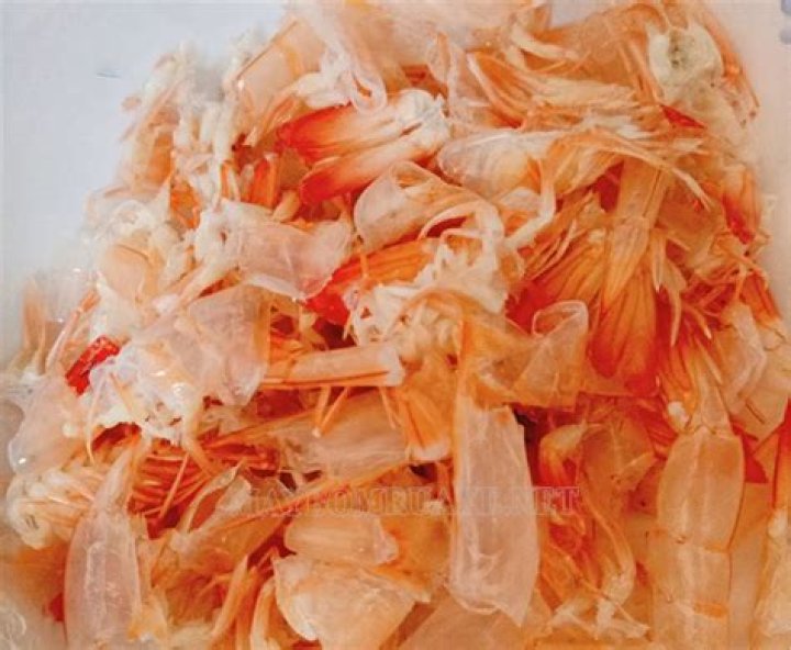 shrimp shell