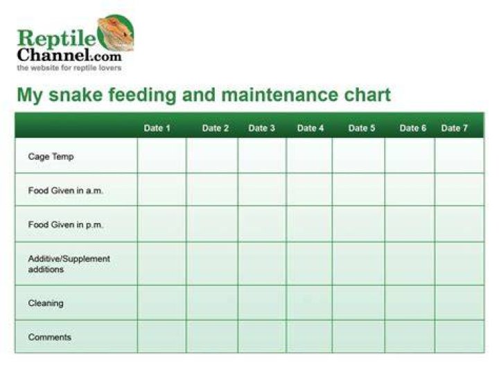 snake feed