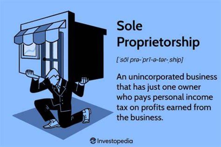 sole owner