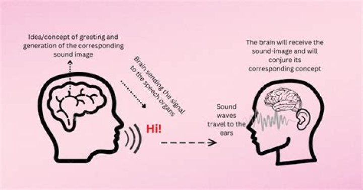 Speech Circuit