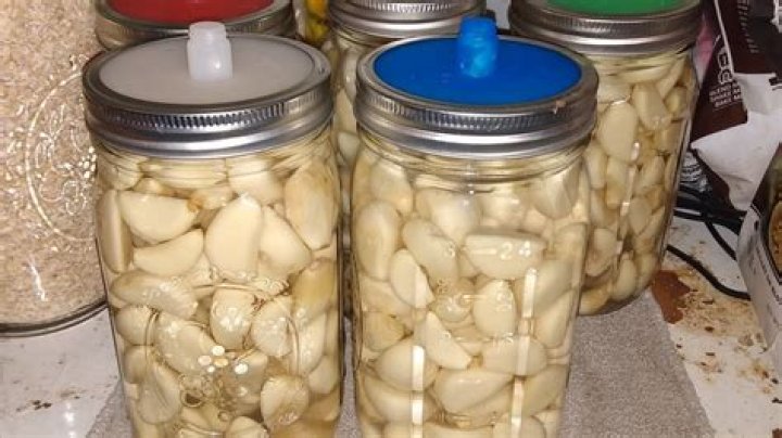 Storage of garlic