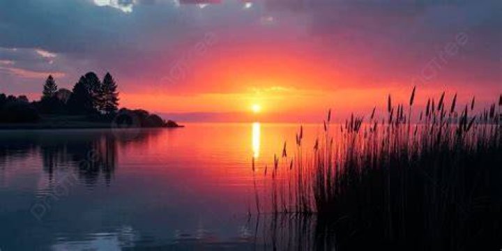 Summer sunset
