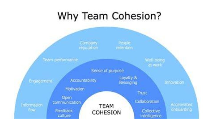 team cohesion