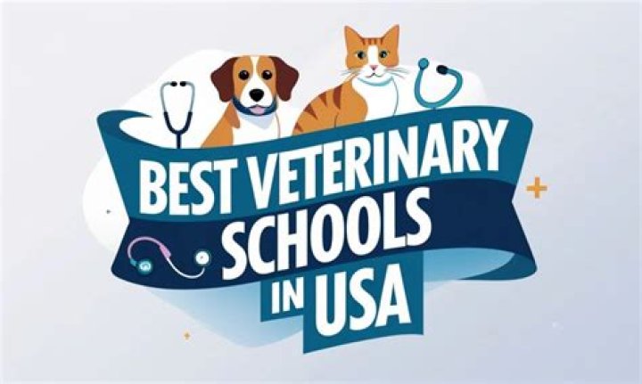 top veterinary schools