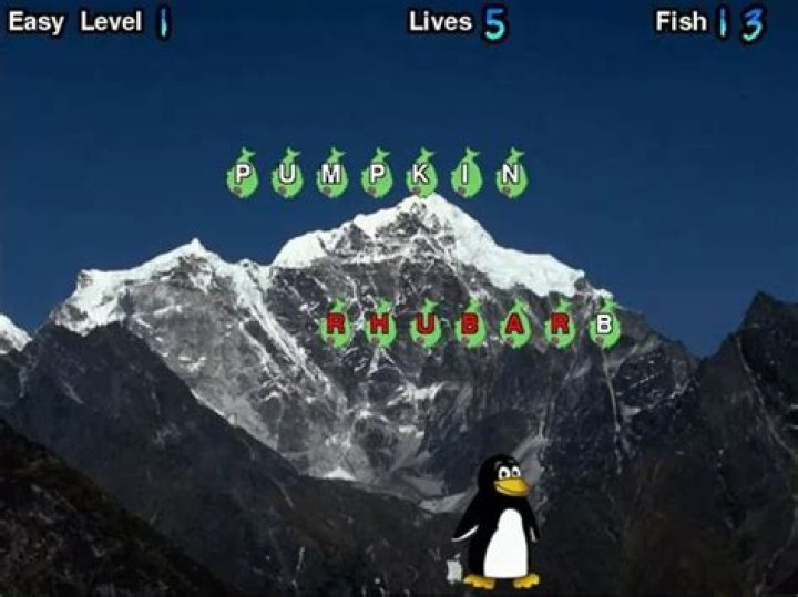 tux typing