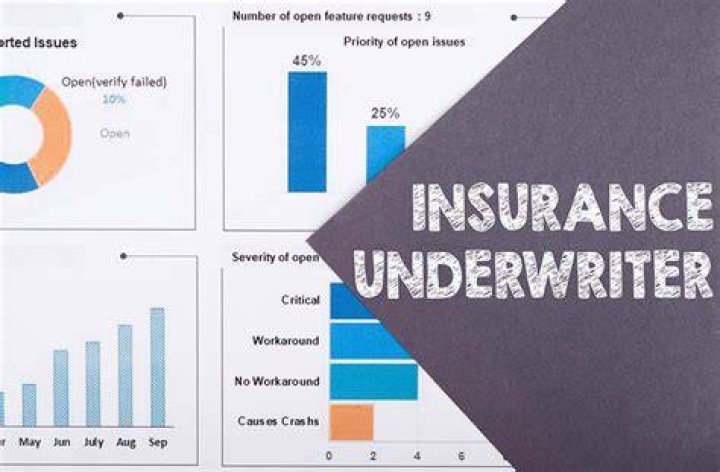 Underwriter (insurance)