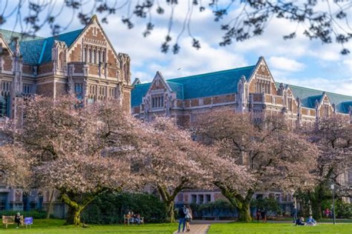university