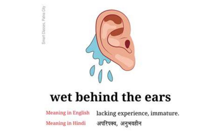 Wet Behind The Ears Meaning