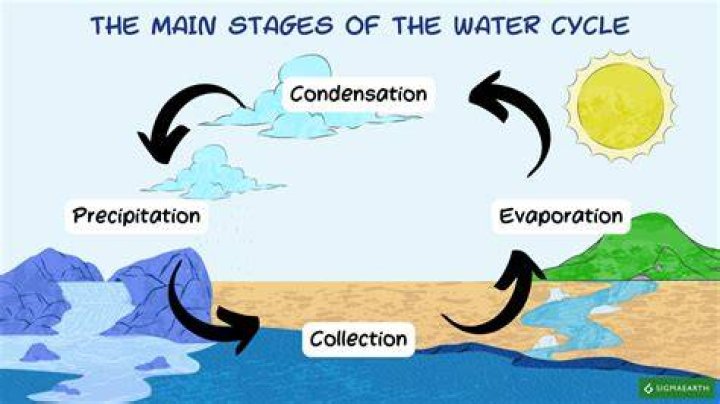 What Are 5 Steps In The Water Cycle