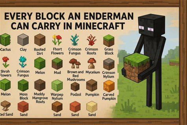 What Blocks Can Block Light Travel Through Minecraft