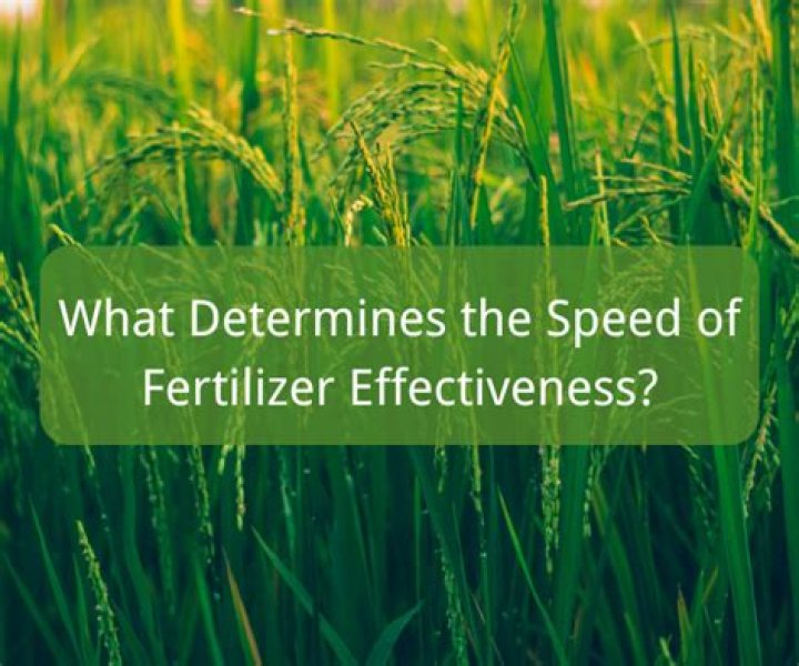 What determines the speed of a laptop? What determines the speed of a laptop?