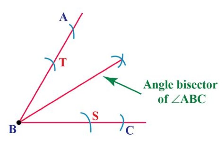 What Does Bisect Mean What Does Bisect Mean