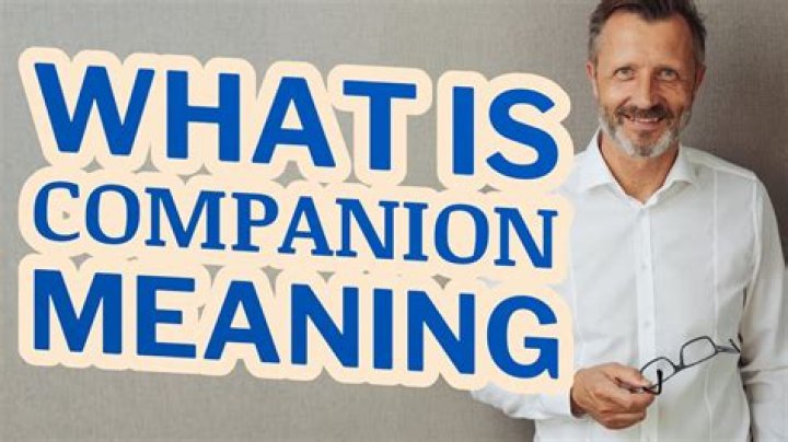 What Does Companion Mean