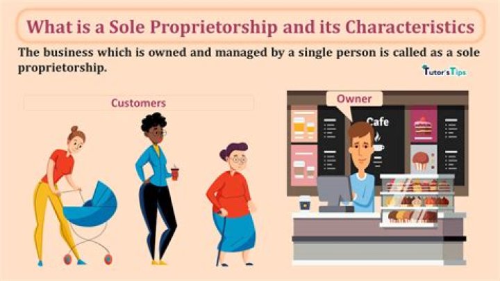 what does sole proprietor mean