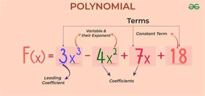 what is polynomial in math
