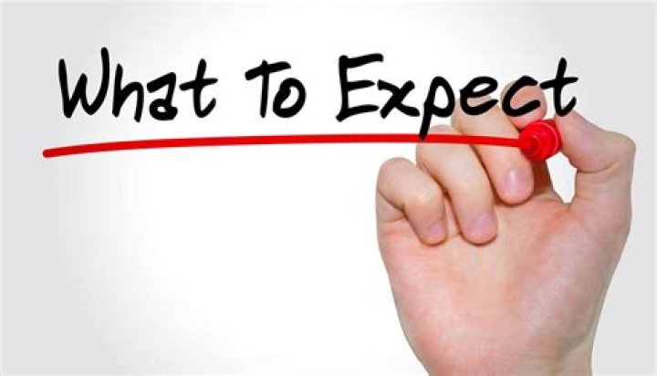 What To Expect From A Professional Removal Service? What To Expect From A Professional Removal Service?
