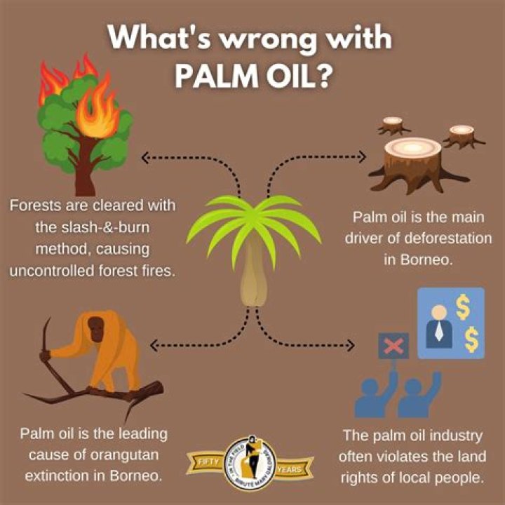 Why Is Palm Oil Bad For Dogs