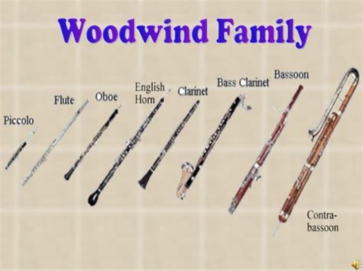 woodwind instruments list