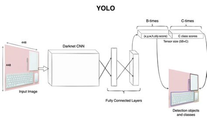 Yolo
